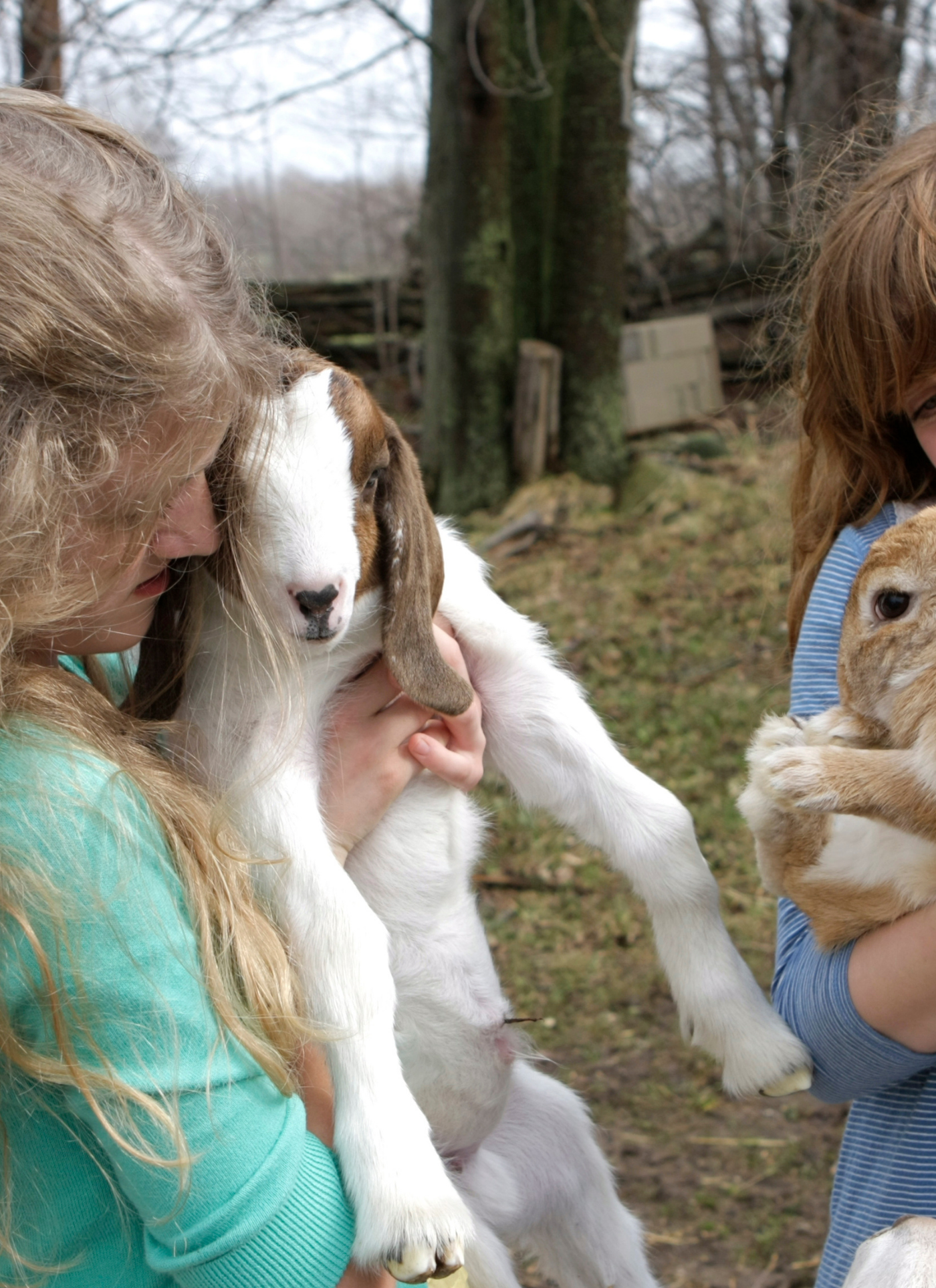 Farmyard Friends - Paint by Numbers