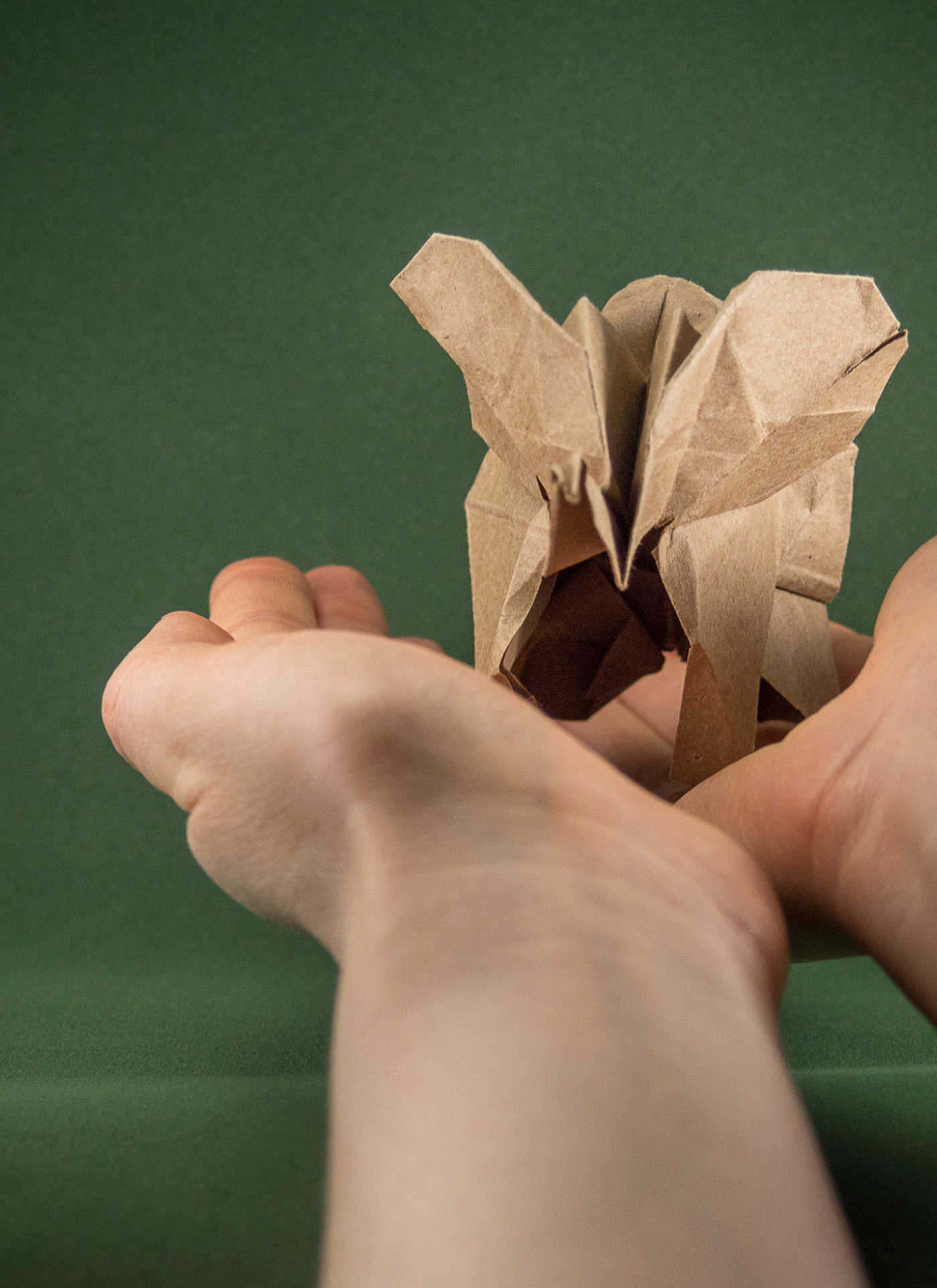 Origami Elephant in Hand – Paint by Numbers Kit