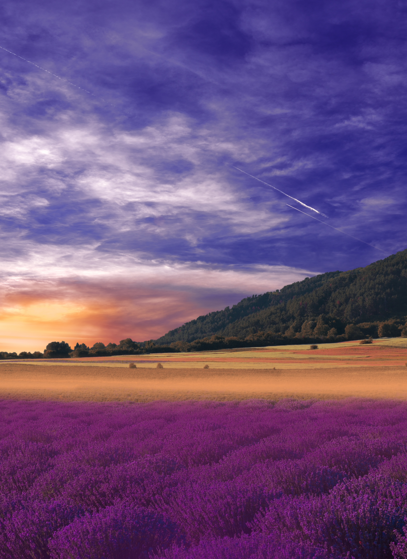 Lavender Sunset Valley – Paint by Numbers Kit