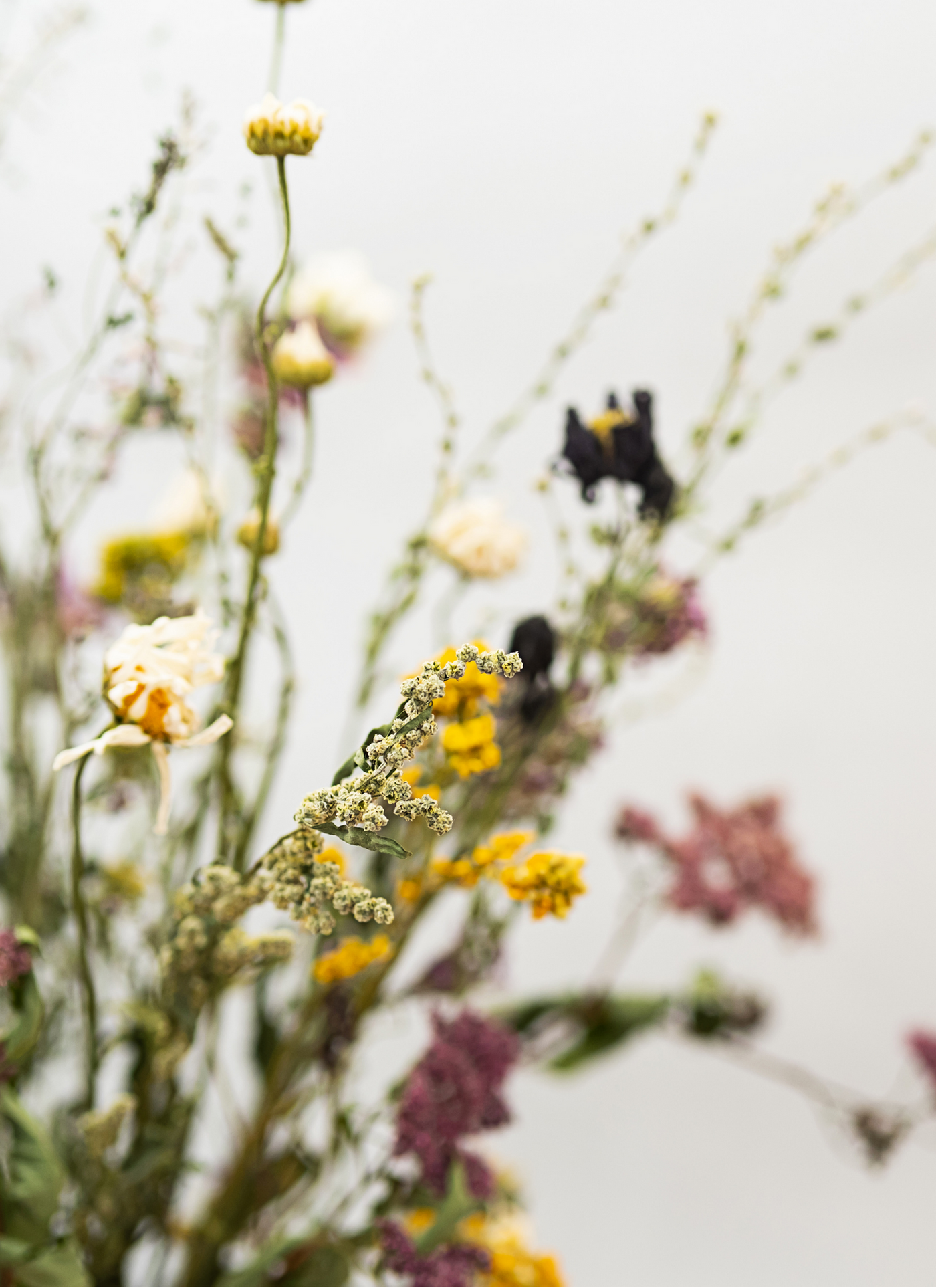 Wildflower Bouquet - Paint by Numbers Kit