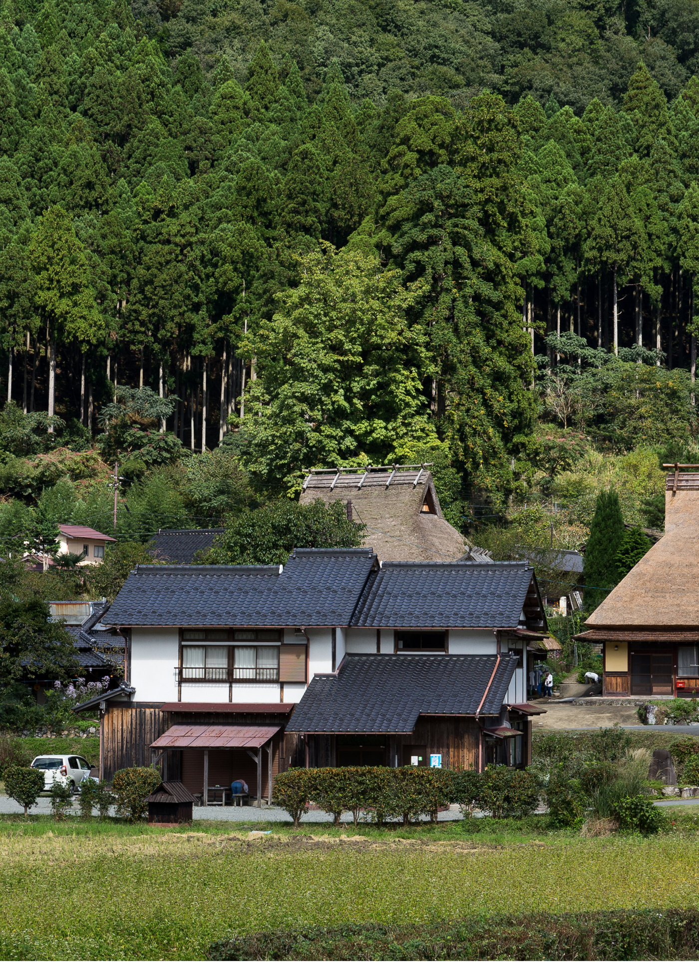 Quiet Village in Kyoto - Paint by Numbers Kit