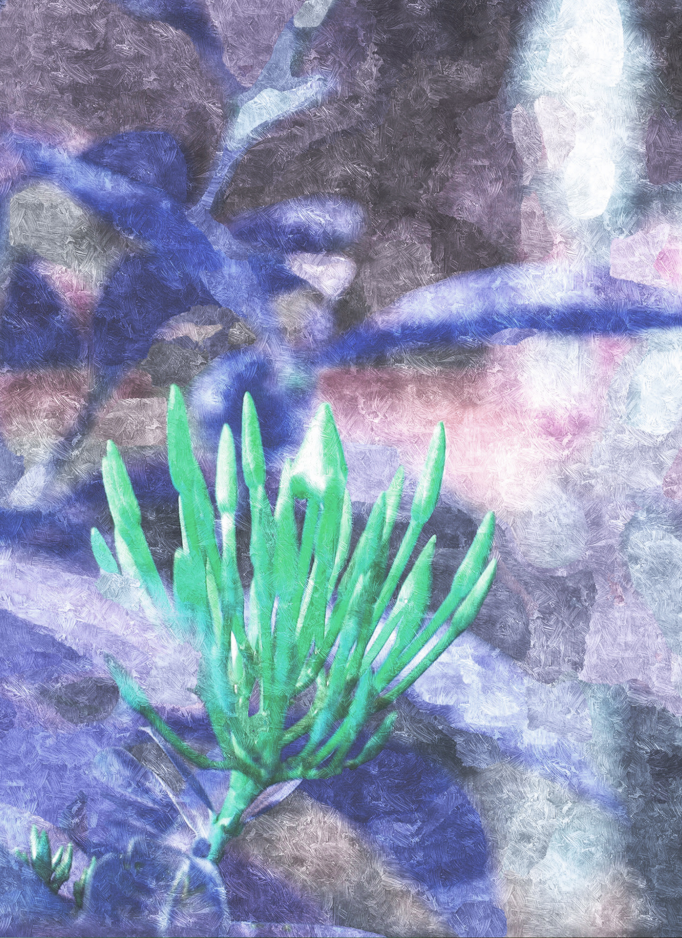 Green Succulent Glow – Paint by Numbers