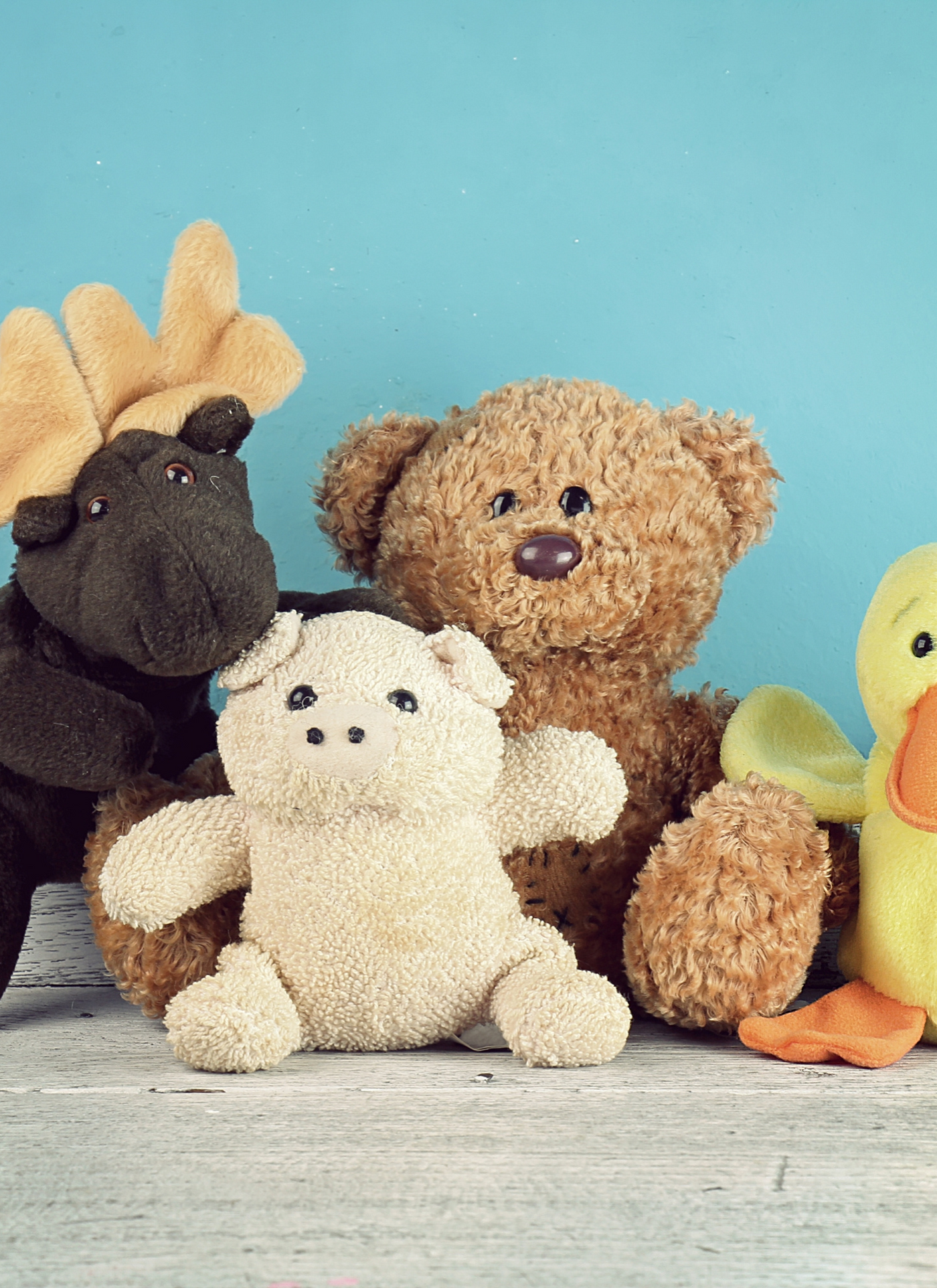 Cuddly Friends – Paint by Numbers Kit